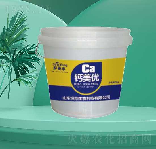 �}����(y��u)-�㶦����