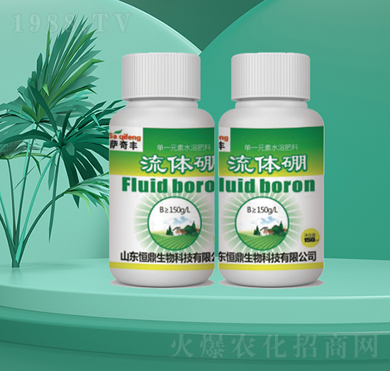 ���w��-�㶦����