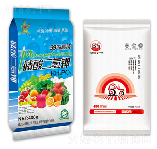 ��������-ʢ������