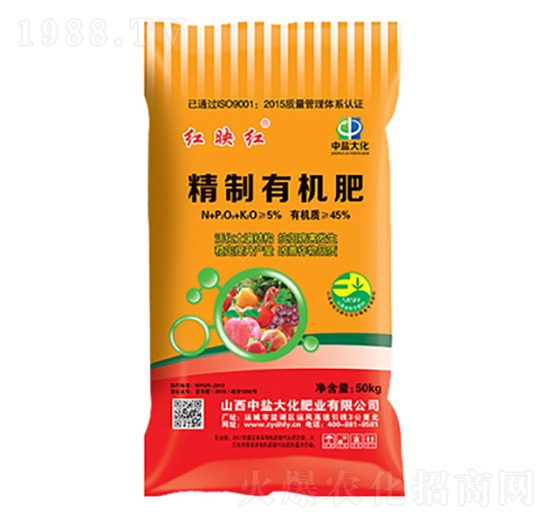 �����ЙC����-�tӳ�t-���}��