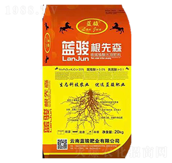 �{(l��n)�E������-�{(l��n)�E�ʘI(y��)