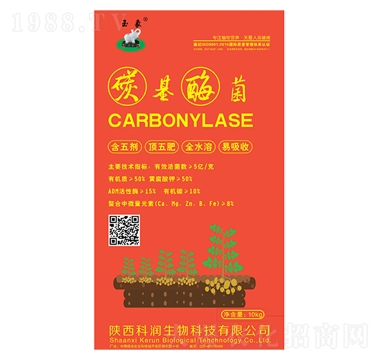 ̼��ù��-�Ɲ�����