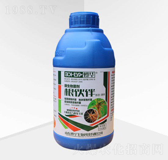 �����-���A����