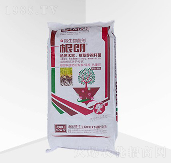 ���ʣ��w����-���A����