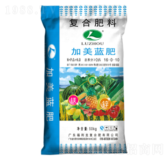 �����{�ʏ�(f��)�Ϸ���16-0-10-������