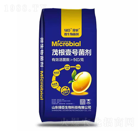 ï��Ҽ̖����-�G������