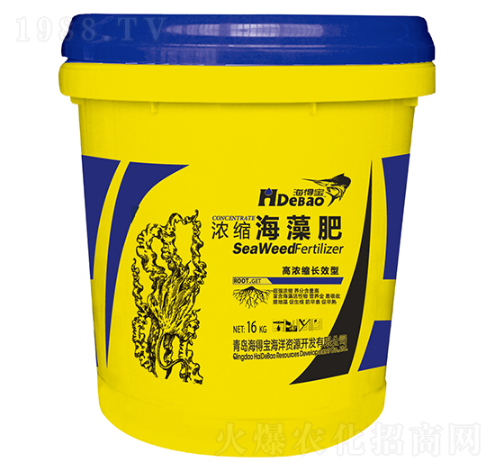 ��s�����-���Ì�