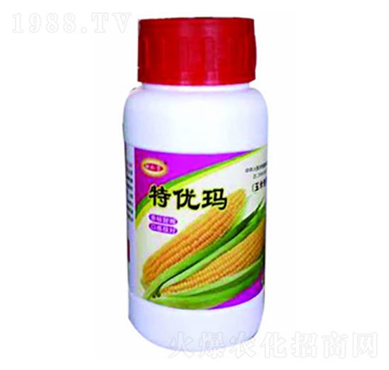 �؃�(y��u)�����׌�����-������