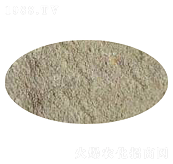 ����ѿ�ߗU��-�P����