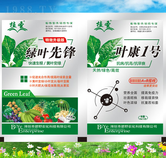 綠葉先鋒+葉康1號-植圣-碧野農(nóng)化