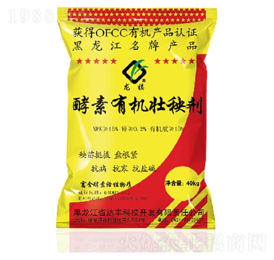 12���������ЙC���턩-�_(d��)�S