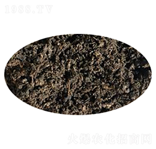 ��S�w����-��������