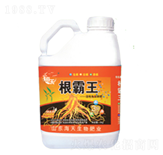 5公斤根霸王-海天生物