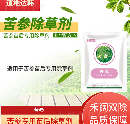 �������݄�-�������-������(zhu��n)��-���n