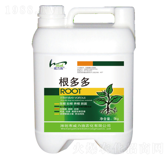 �����-����ʩ