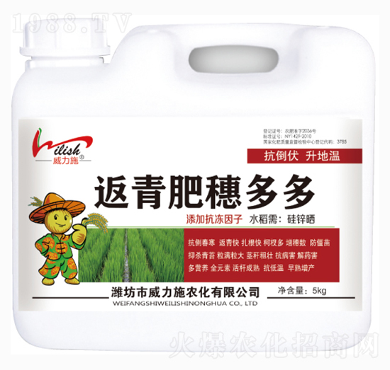 ���������-����ʩ