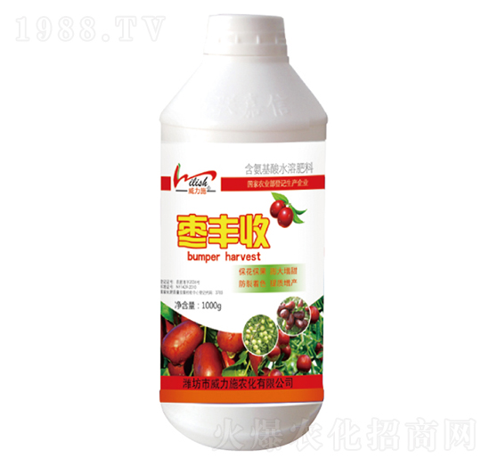 ���S��-����ʩ