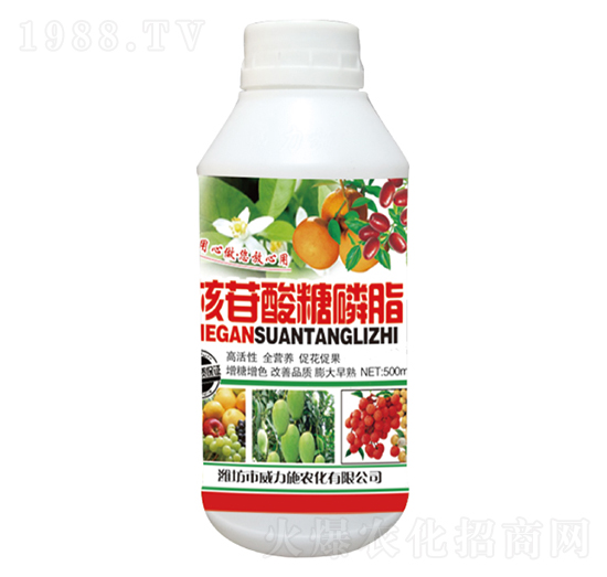 ����������֬ƿ�b-����ʩ