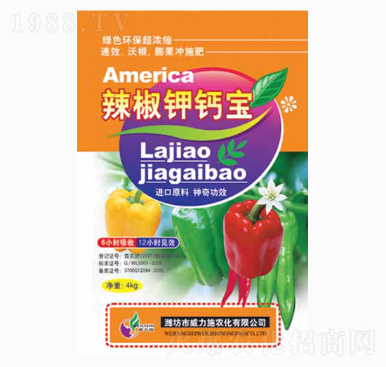 ������}��-����ʩ