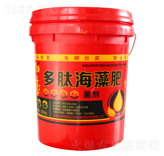 ���ĺ����-��?w��n)|����