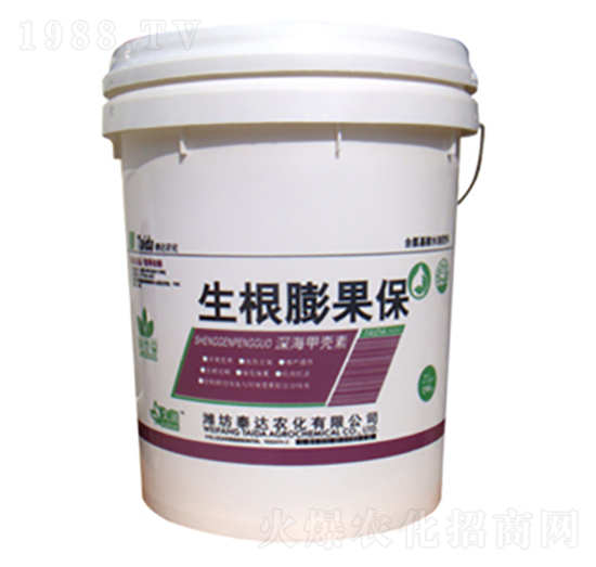 ��ך���-���������-̩�_�r��