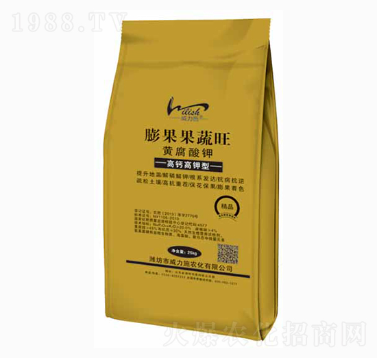 �S�����-���������-����ʩ