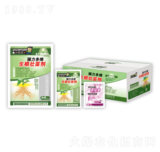 ������S�������焩+�T��(d��o)��-̩�_�r(n��ng)��