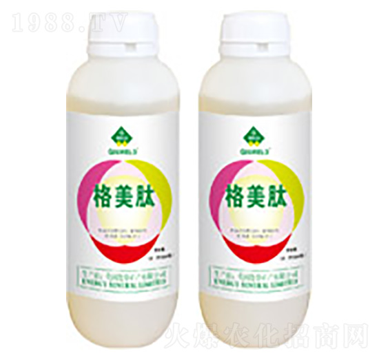 ������-�T������