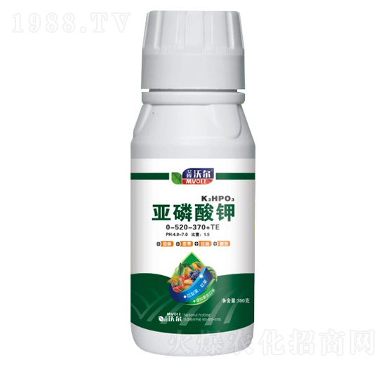 �������0-520-370+TE-��ķ�֠�