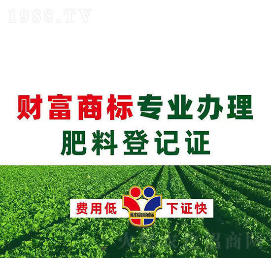 ���ϵ�ӛ�C�k��-ؔ���̘�