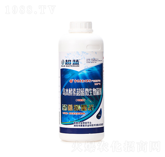 �u�����س��{΢�������-���{-�A�I