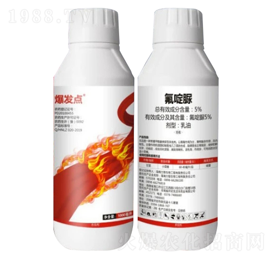 5%�����-���l(f��)�c������棩-��֮��