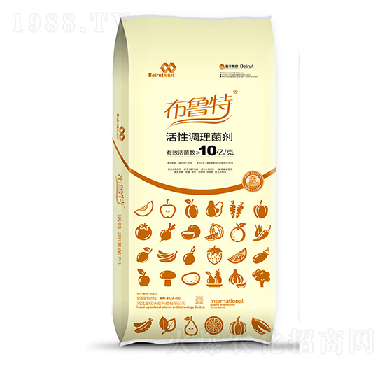 �����{(di��o)������-������-�{������