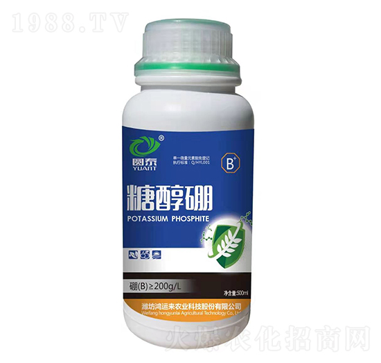 �Ǵ���-�@̩-���\(y��n)��