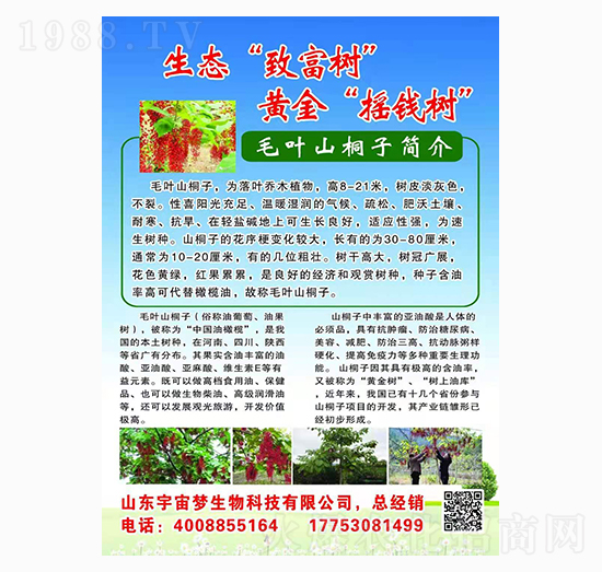 ë�~ɽͩ�� �����(m��ng)����