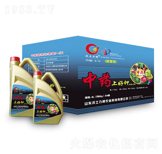 ��ˎ���Ϻ��1̖-�W�����F