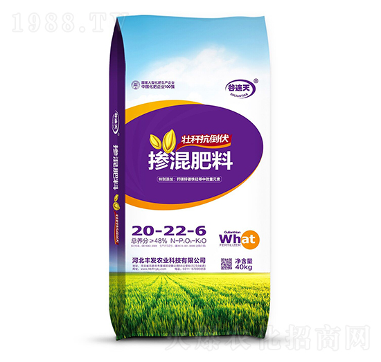 �������20-22-6 ���B�� �S�l(f��)�r�I(y��)