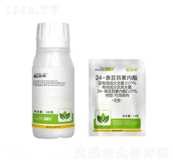 24-���|̦�؃��� �W���� ��ӯ