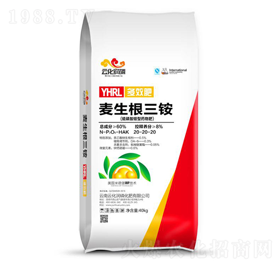 �������@��20-20-20 ���������@ �ƻ�����