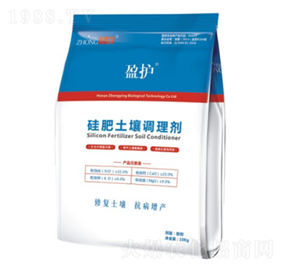 ��������{�턩 ��ӯ