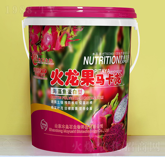 �����~(y��)������-�������R����-ľ�~(y��)ʯ����