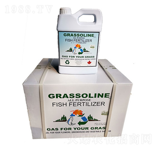 ���ô��M����q�~��-��Ŭ��-�f��