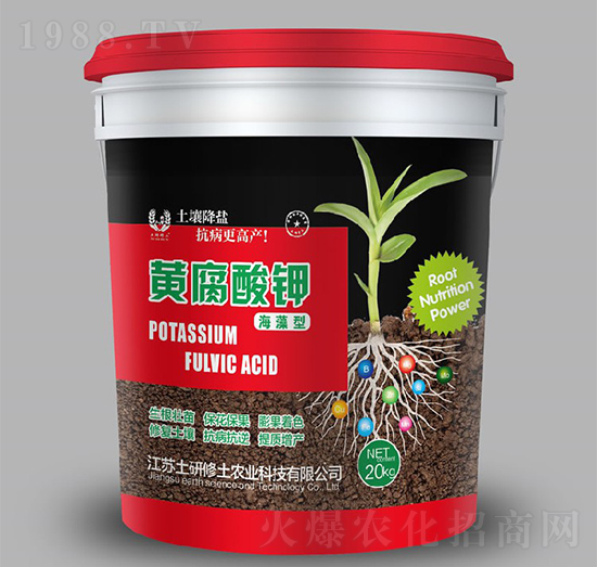 �������S�����-��������