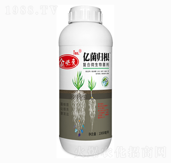 �ͺ�΢�������-�|���w��-��؁�