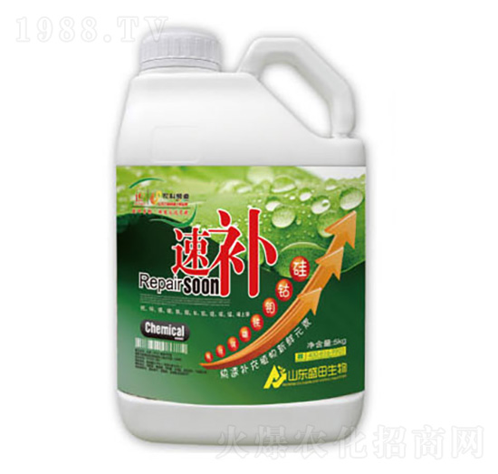 ���a(b��)-ʢ������