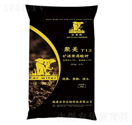 �VԴ�S�����-����T12-��Ψ��-���A����