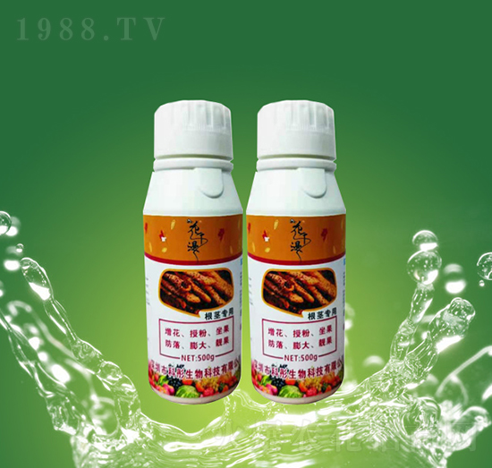 ���o����-��ͮ����