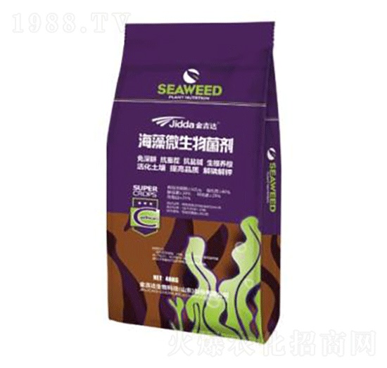 ����΢�������-���_(d��)