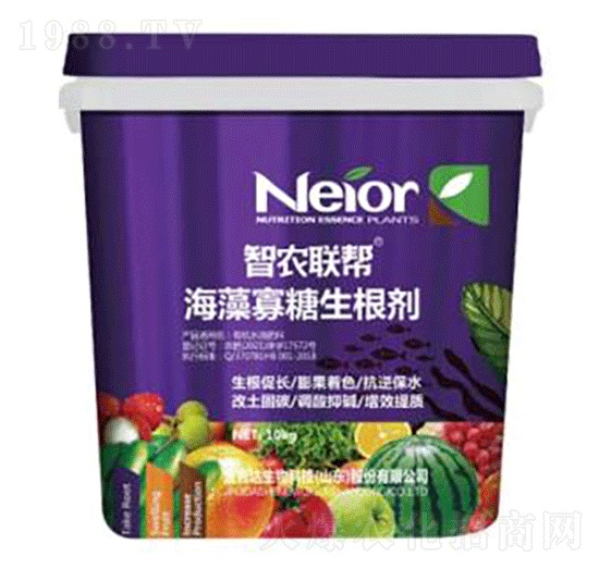 �������������-���_(d��)