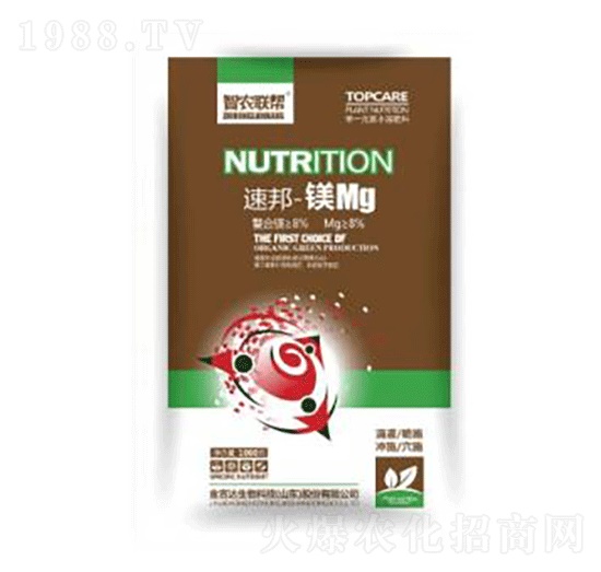 �ٰ�-�VMg-���_